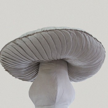 Hanna Shim