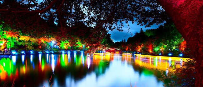 TSB Festival of Lights