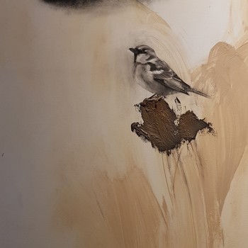 Studio One Toi Tū - Mark and Process