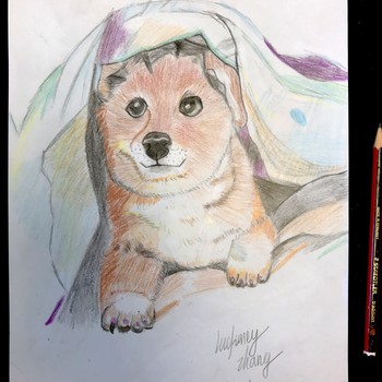 Studio One Toi Tū - Draw and Sketch