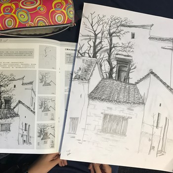 Drawing Birds In Clolour