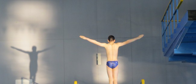 2018 South Island Diving Championships