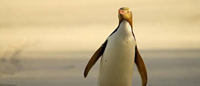 Conservation Week Charity Quiz Night