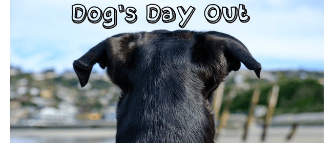 Dogs Day Out