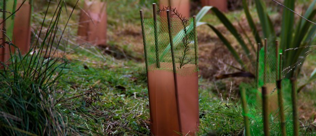 Planting To Remember
