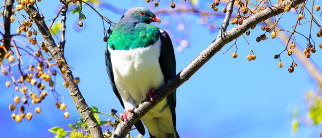 Nature Photography Workshops
