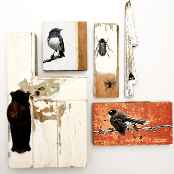 Home - Mandy Patmore
