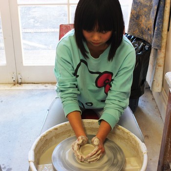 Studio One Toi Tū - Champion's Cup