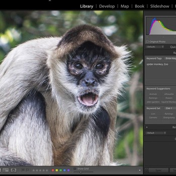 Lightroom Editing - Getting Started