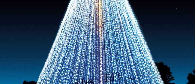 telecom christmas tree auckland stuff events telecom christmas tree auckland stuff events