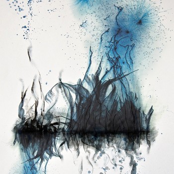 Studio One Toi Tū - Drawing Birds In Colour: CANCELLED