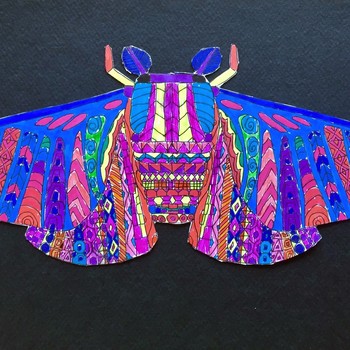 Studio One Toi Tū - Fantastic Insects