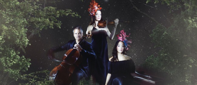 HBAF 2020 - NZTrio: Interfusions