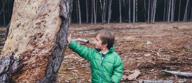 Fantail Nature School - Summer Fun