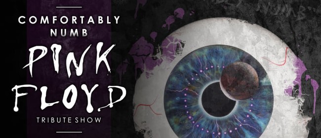 Pink Floyd Tribute
