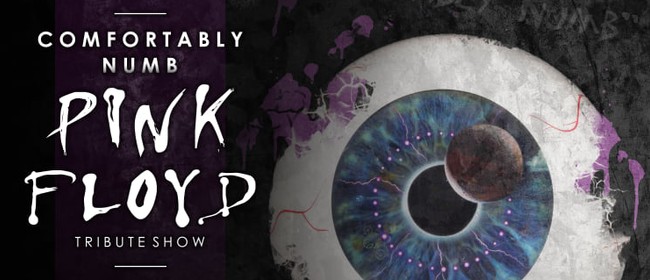 Pink Floyd Tribute