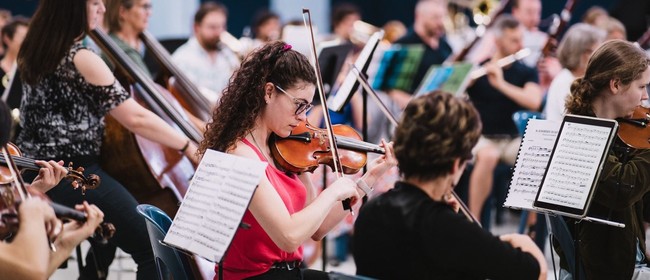 Hawke's Bay Orchestra presents 'Classics for Koha'