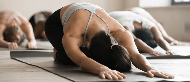 Hawkes Bay Yoga Festival