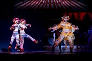 NYT Presents CATS