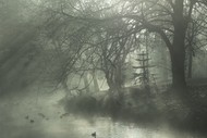 Winter Snap Exhibition: A Photographic Winter Journey By Dave Shepherd
