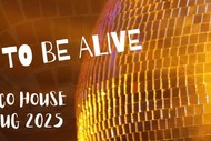 Born To Be Alive : Disco House Feat DJ Cheff D & Lo Freq