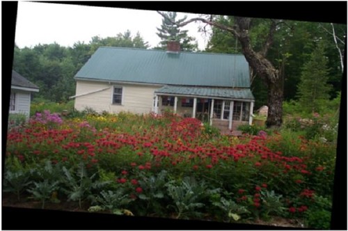 north design advisor eco palmerston Solar There Popular  The Demand: Solar Here Back by Square