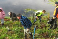 Karamu Stream Planting Day