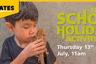 Animates Napier - School Holiday Activities