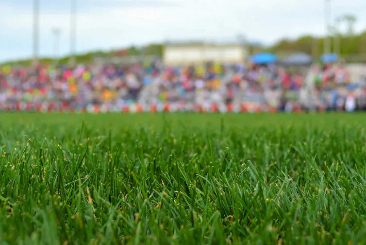 Image for event: Black Ferns v Canada