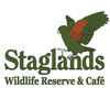 Staglands's profile picture