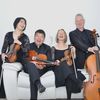 Aroha String Quartet's profile picture
