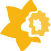 Cancer Society Auckland's profile picture