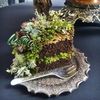 vanessapatea's profile picture