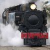 Feilding Steam Rail's profile picture