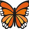 Miscarriage Matters NZ Inc.'s profile picture