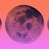 Moon 1 Ltd's profile picture