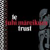 Te Tuhi Mareikura Trust's profile picture