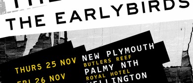 Luger Boa, The Checks & The Earlybirds - It's A Rock n' Roll Riot