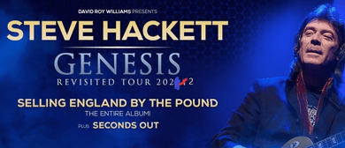 Steve Hackett postponed to 2022