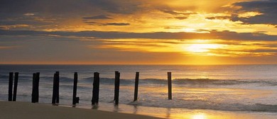 Summer School Holiday Events & Activities