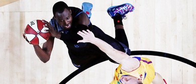 What's On This Weekend 16-18 January