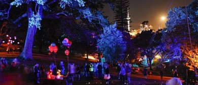 Art in the Dark Cancelled for 2015