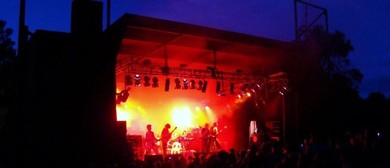 Music Mountain Matakana Announces 2010 Bush Party!