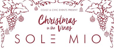 Special Guests Announced For Sol3 Mio Christmas Shows