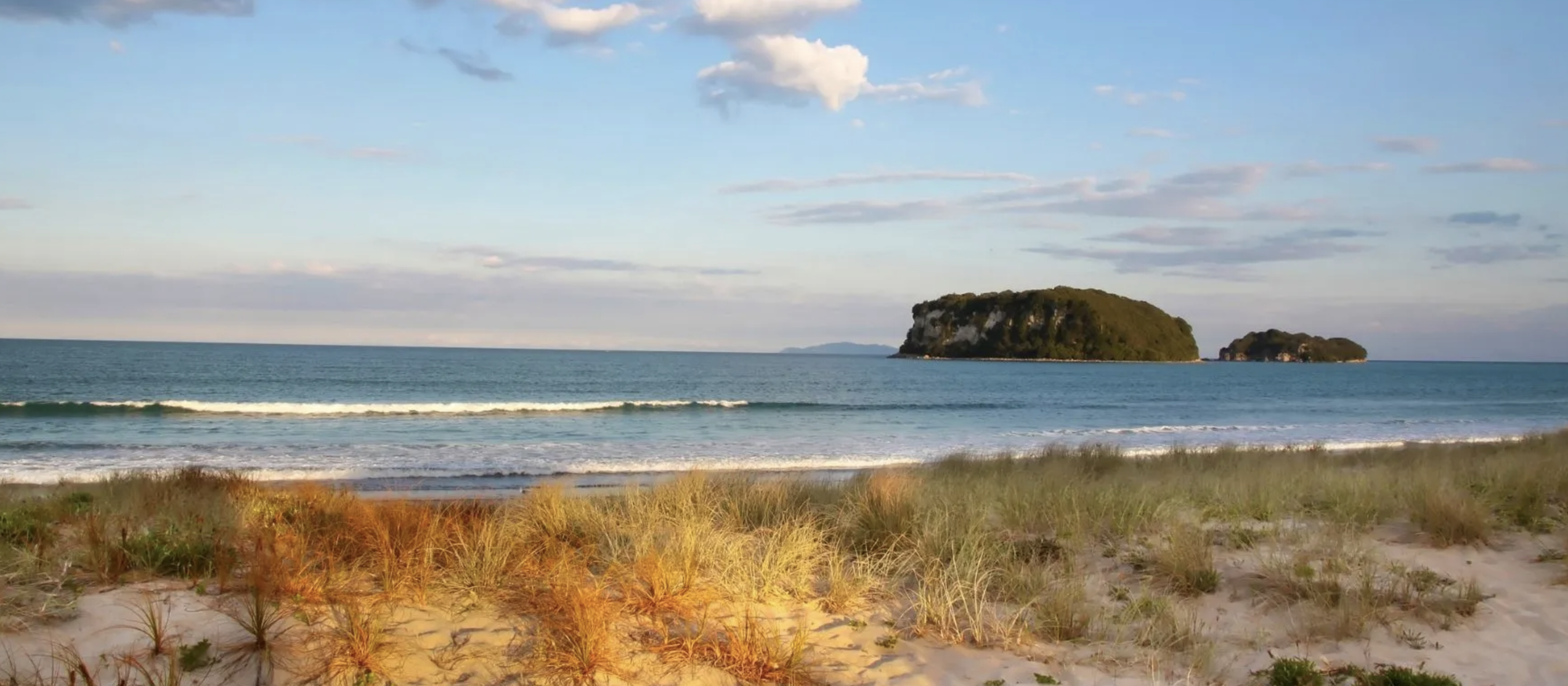 The Little Big Markets – Whangamatā