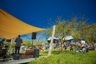 Sunday Session - The Cellar Door Band