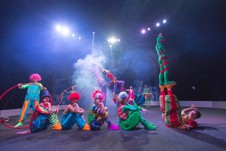 Resultado de imagem para circus