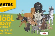Animates Hastings - School Holiday Programme