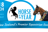Horse of The Year