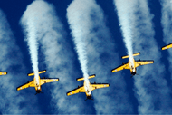 Brebner Print Memorial Flying Displays - ADF18